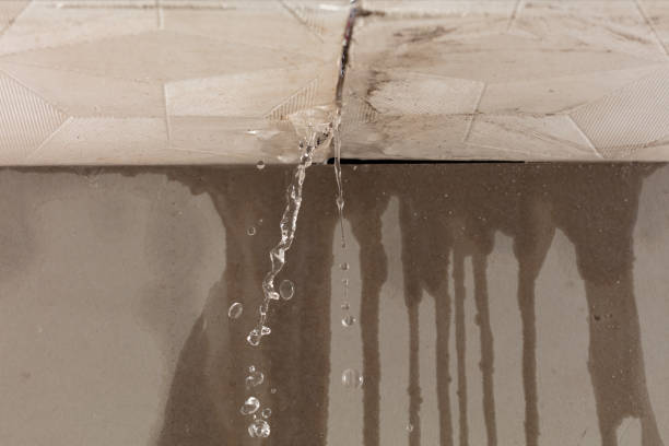 Professional Burst Pipe Cleanup technician working in Morenci, AZ